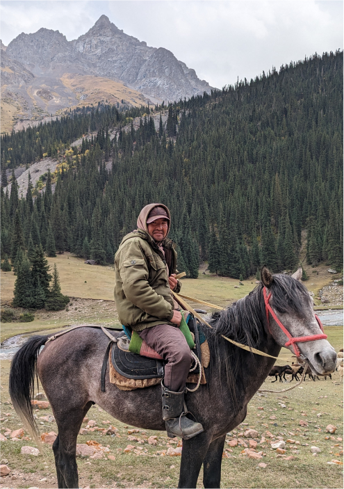 nomad on a house 